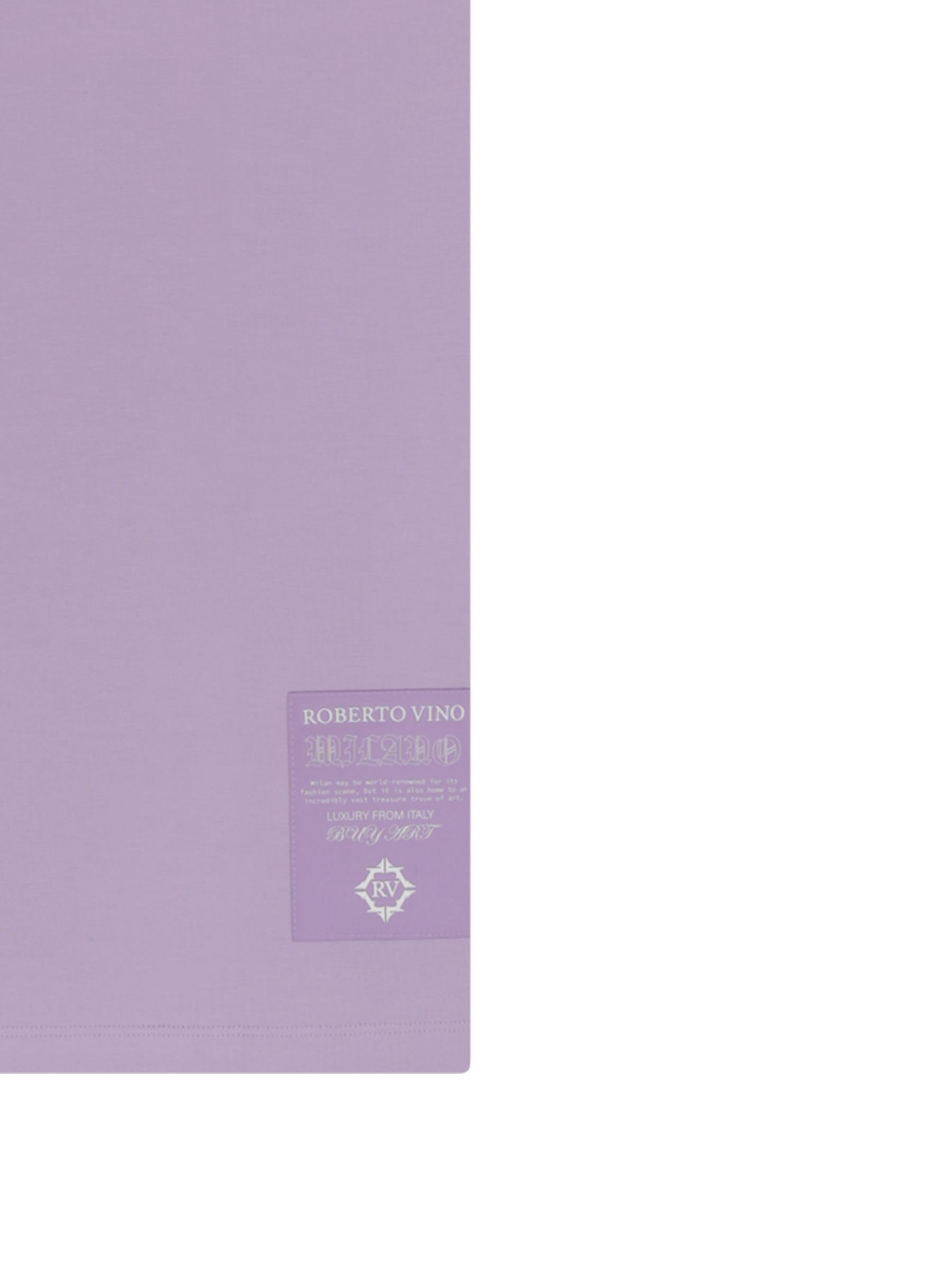 Slim Fit RV Front Brush