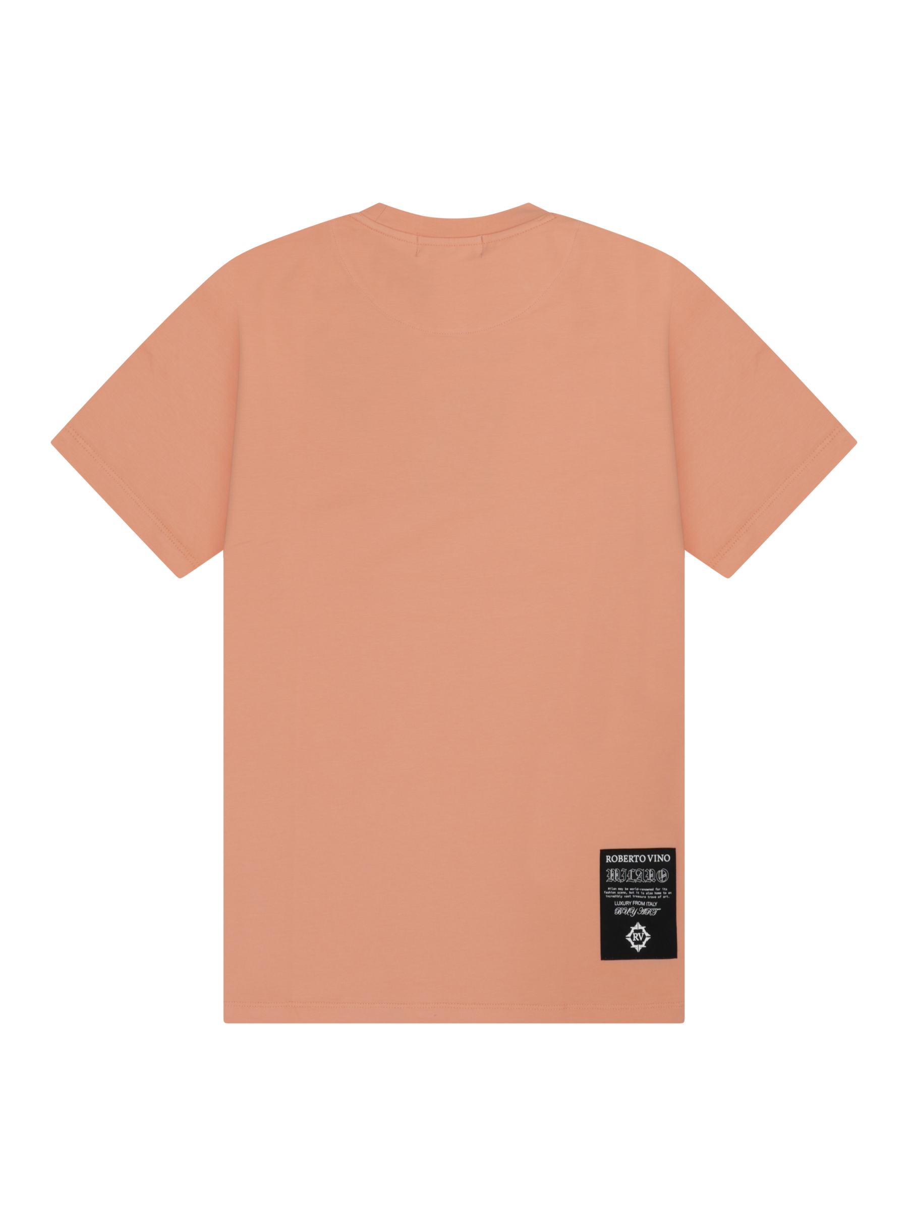 Slim Fit RV Front Brush