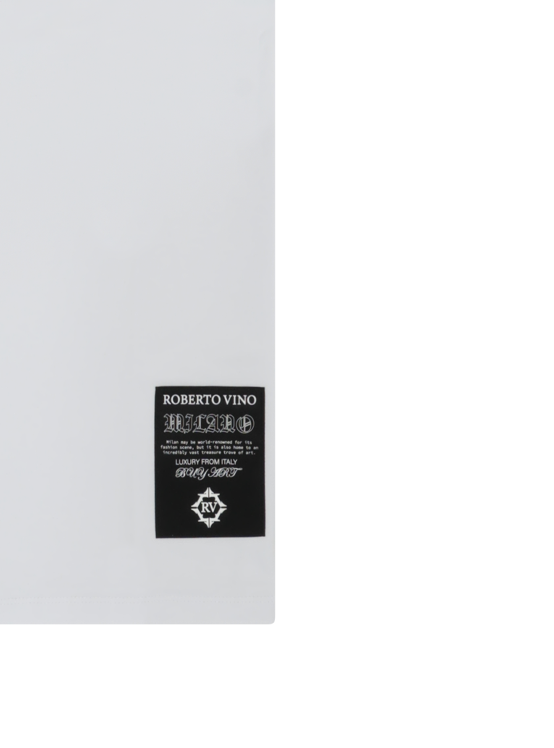 Slim Fit RV Front Brush