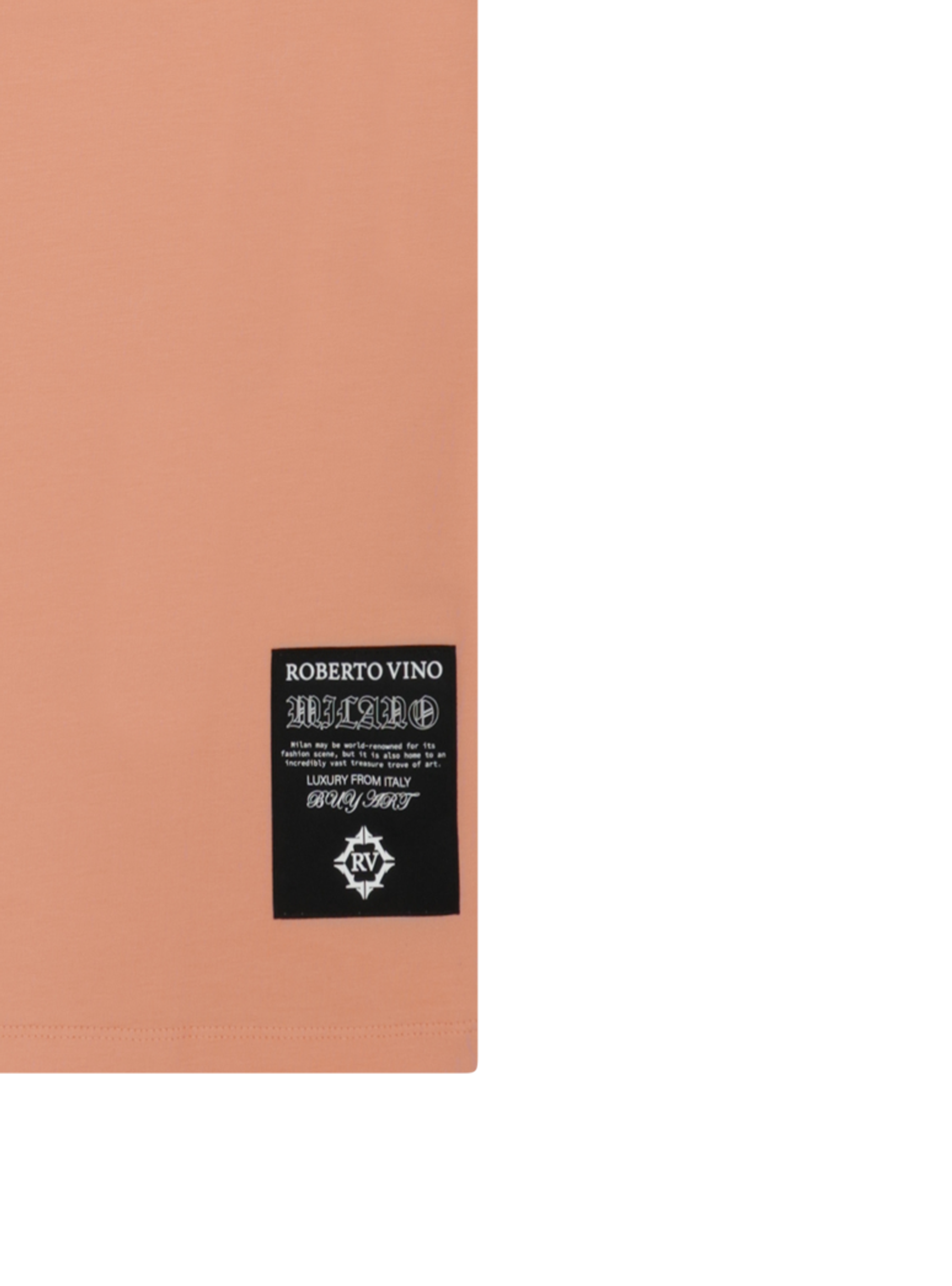 Slim Fit RV Front Brush